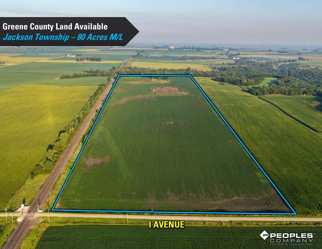 Listing Photo: Greene-County-Iowa-Farmland-Available-80-Acres-Scranton-Jefferson-19706 (13)